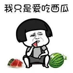 娱乐吃瓜君什么瓜